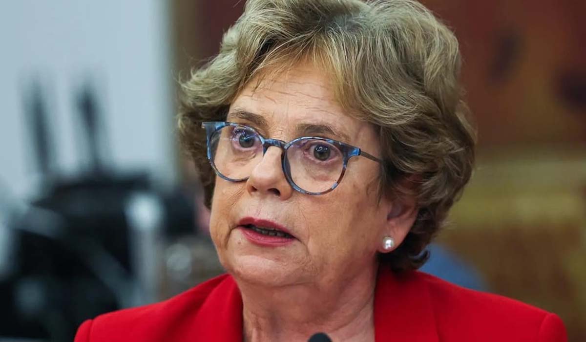 Maria Lúcia Amaral falou este domingo ao país.