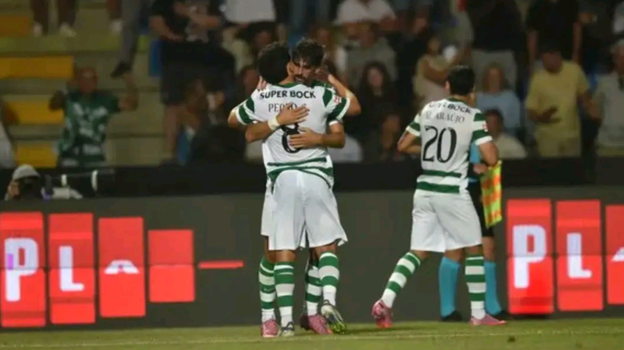 Treinador do Casa Pia arrasa arbitragem frente ao Sporting na Liga Portugal