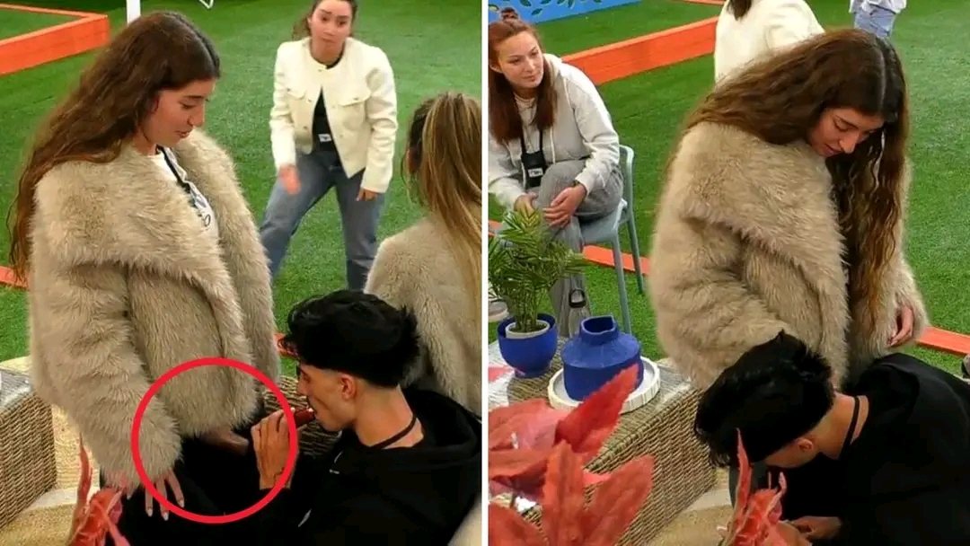 Diogo “brinca” com Ariana e toca-lhe “entre as pernas” em frente a todos no “Secret Story”