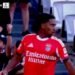 (VÍDEO) Os golos do jogo entre o Benfica e o Moreirense