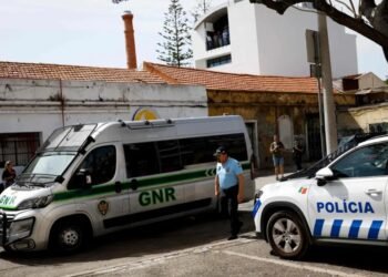 Crianças abandonadas em Alcácer do Sal já regressaram a França