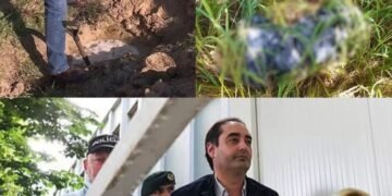 Assunto resolvido sobre Mónica