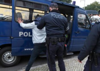 GNR e Polícia Judiciária investigam descoberta macabra em quintal da Póvoa de Lanhoso
