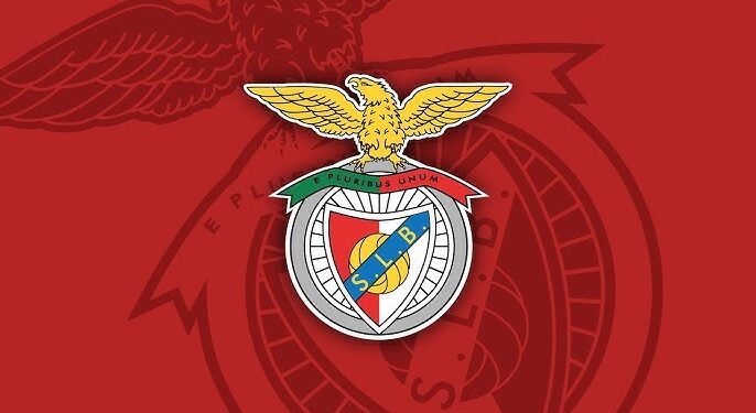 Rui Costa não perde tempo e aí vem novo treinador para o Benfica
