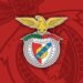 Rui Costa não perde tempo e aí vem novo treinador para o Benfica